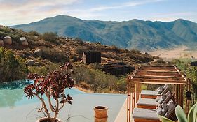 Encuentro Guadalupe